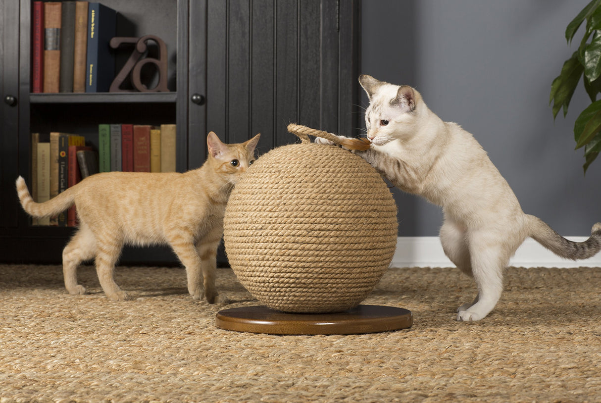 Prevue Productos para mascotas Esfera con juguete de borla