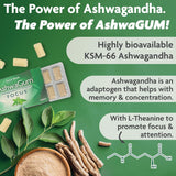 Goma de Concentración AshwaGum, BetterGum, Sin Azúcar, 6 Pzs