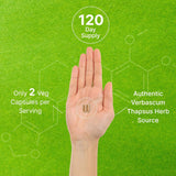 Suplemento Hoja de gordolobo 20,000 mg, 240 cápsulas