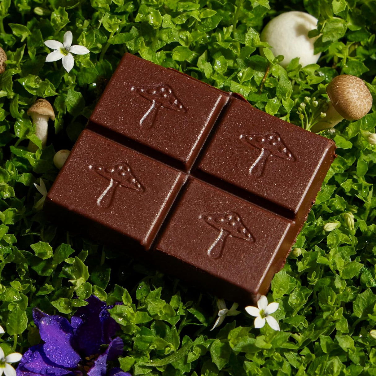 Alice Mushrooms Nightcap Chocolates de hongos |
