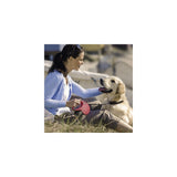 Correa retráctil para perro color rojo,