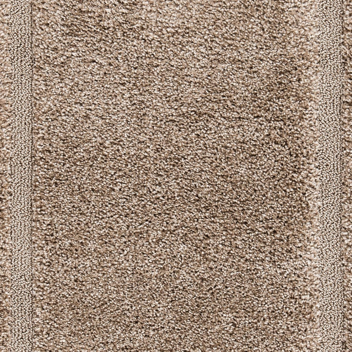 Alfombra de área SAFAVIEH Florida Shag 8'x10', fácil cuidado, SG454-1313