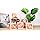 Cajas de bebé con letras para baby shower, decoraciones transparentes para baby shower, cajas de bloques transparentes para globos de fondo para baby shower y fiesta de cumpleaños, 4 unidades