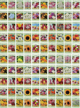 Paquete de 100 Semillas de Flores Valle Verde - Variedades