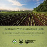 Suplemento Hierro líquido planta force gaia Herbs 16 onzas
