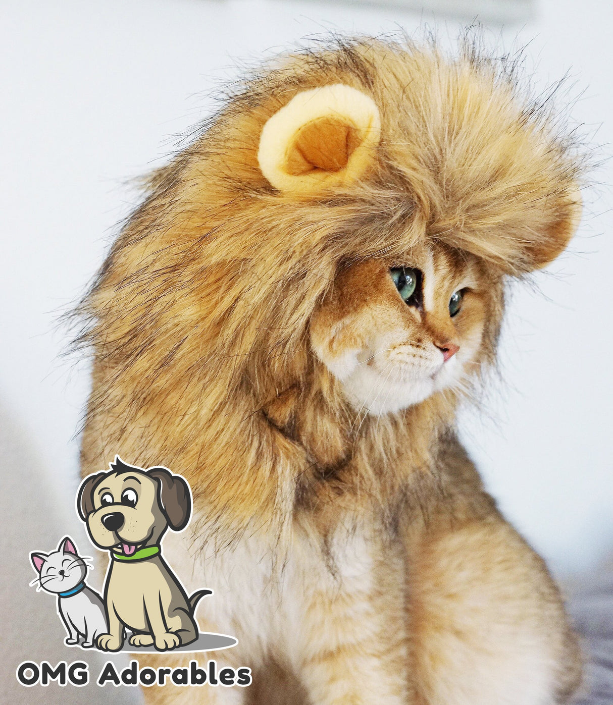Disfraz para mascota