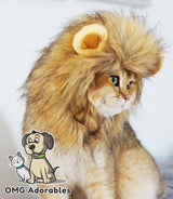 Disfraz para mascota
