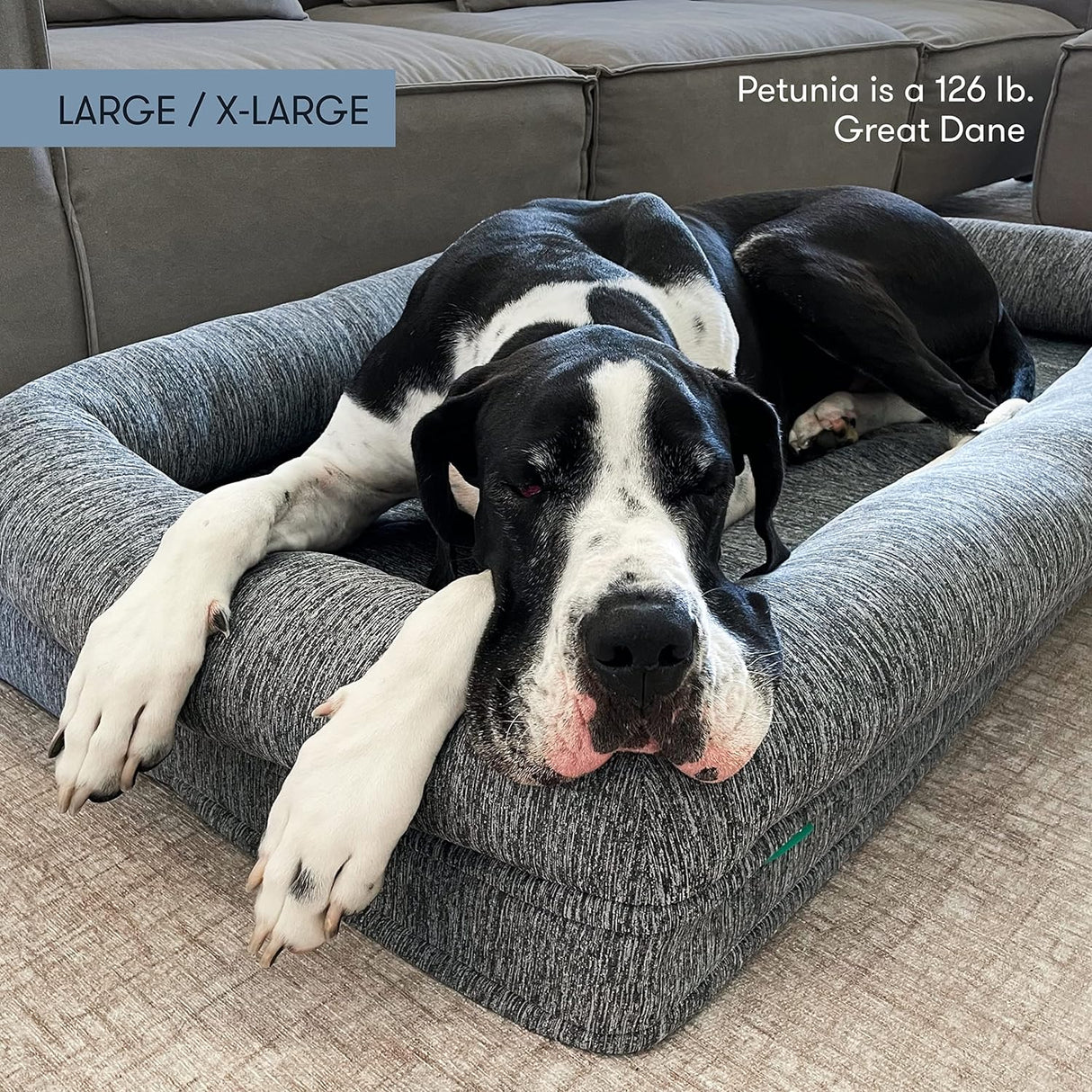 Cama ortopédica para mascotas lavable Newton Baby