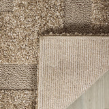 Alfombra de área SAFAVIEH Florida Shag 8'x10', fácil cuidado, SG454-1313