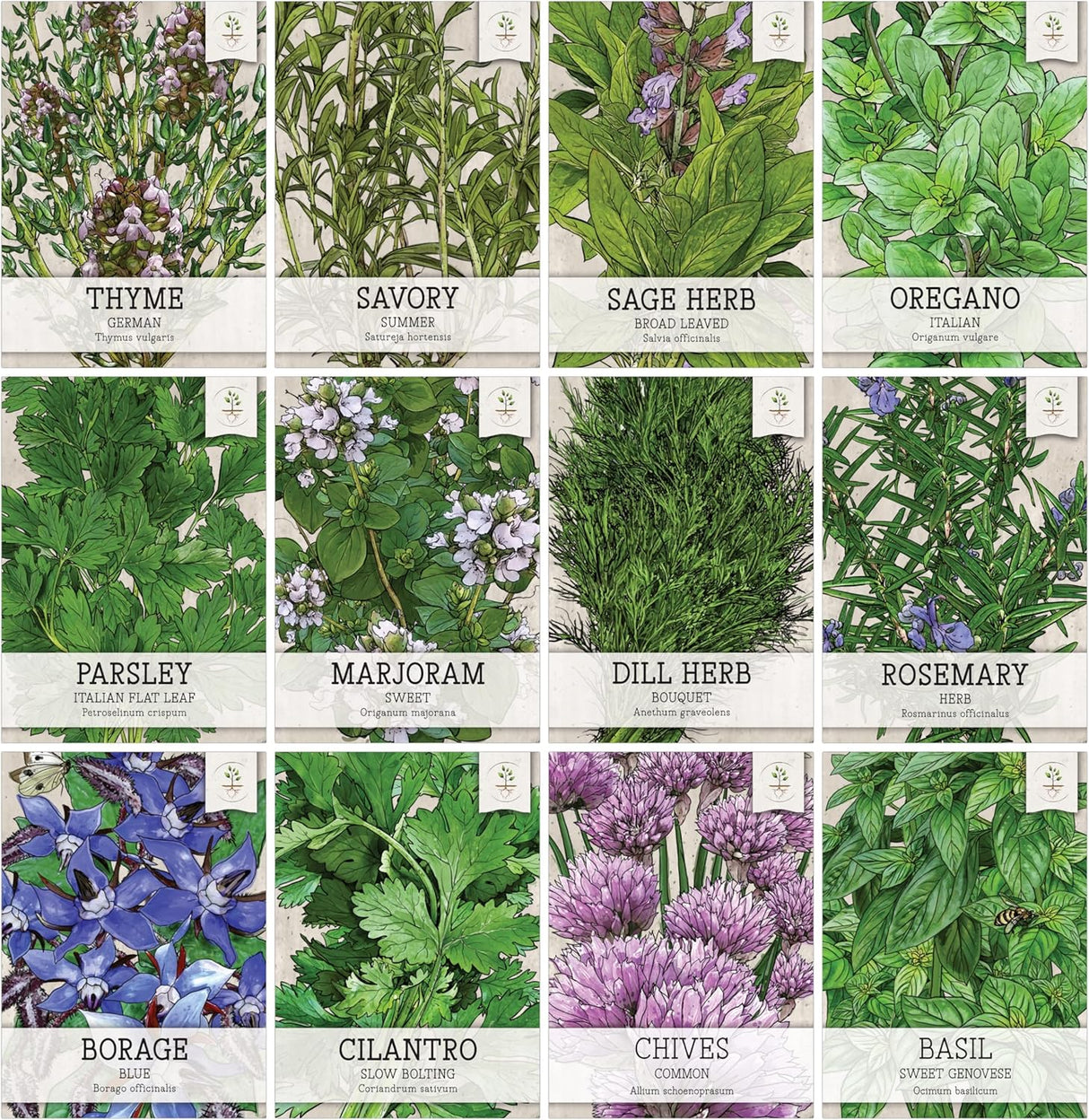 Paquete de Semillas de Hierbas, Seed Needs, 12 variedades orgánicas