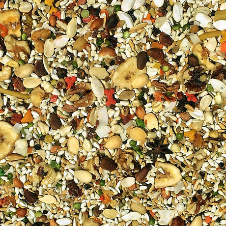 Alimento para pájaros grises súper africano 4 libras