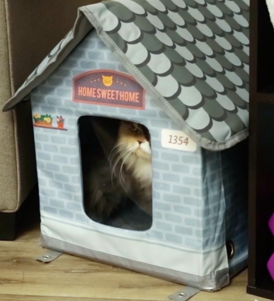 Casas climatizada para gatos al aire libre en invierno