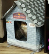 Casas climatizada para gatos al aire libre en invierno