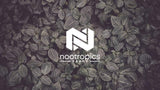 synapsa Bacopa monnieri Cápsulas de 320 mg Extracto