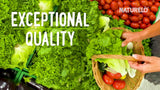 Vitamina E Parent, 1