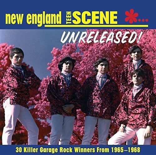 Escena Adolescente De Nueva Inglaterra, Inédita CD