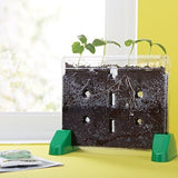 Perspectivas Educativas Sprout and Grow Window