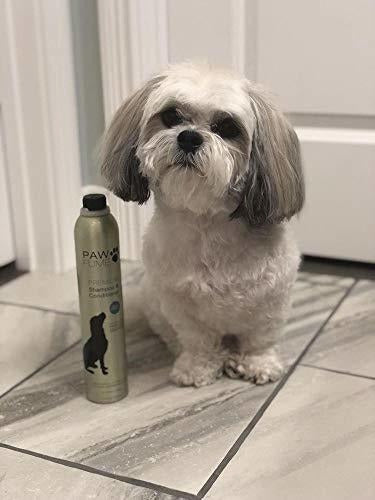 Champú Y Acondicionador Premium Pawfume - 12 Oz (azul