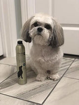 Champú Y Acondicionador Premium Pawfume - 12 Oz (azul