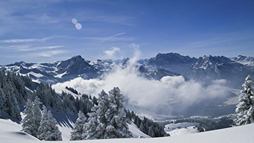 Los Alpes Desde Arriba: Una Sinfonía De Cumbres