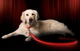 Correa Led Para Perros - Usb Recargable