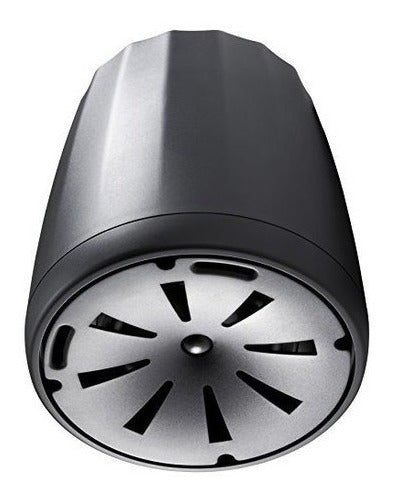 Altavoz Colgante Compacto De Rango Completo