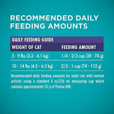 Comida para gatos para adultos