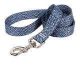 Correa De Perro Azul