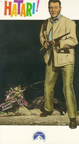 Riesgo vhs