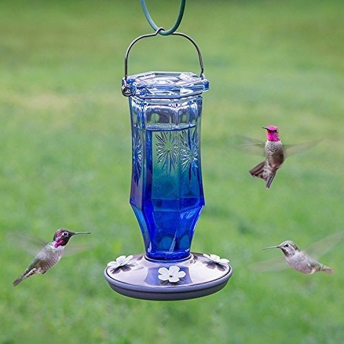 Alimentador de colibrí de cristal vintage con zafiro