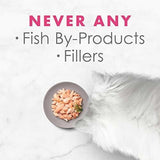 Suplemento alimenticio para gatos