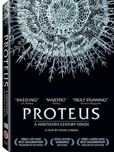 Proteo