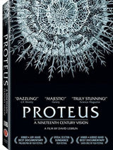Proteo