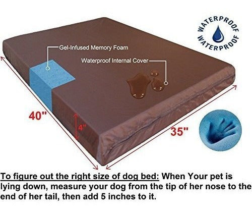 Dogbed4less Cama Ortopédica Extra Grande Para Perros