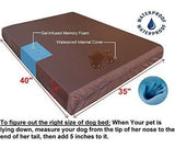 Dogbed4less Cama Ortopédica Extra Grande Para Perros