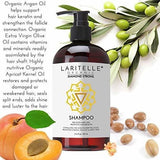 Shampoo 17.5 Oz Aceite De Argán, Jengibre