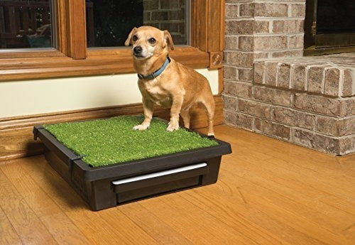 Almohadillas para cachorros, 3 opciones de tamaño para razas