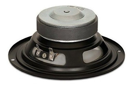 Subwoofer De Escenario, Woofers De Cono