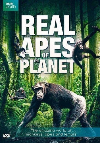 Simios Reales Del Planeta