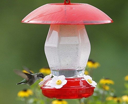 comederos para pájaros comederos para colibríes