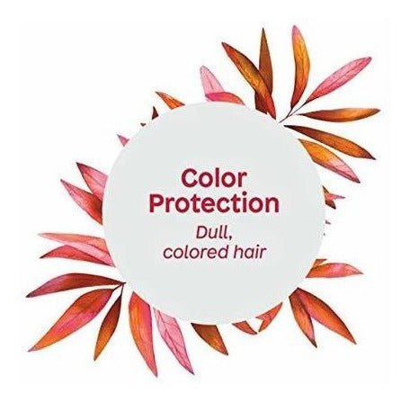 Champú De Protección De Color Natural