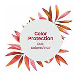 Champú De Protección De Color Natural