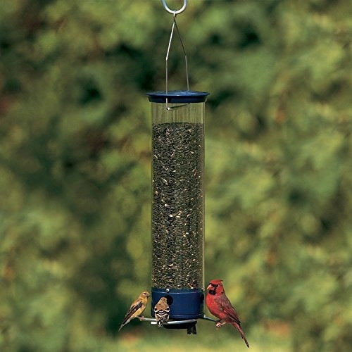 Alimentador De Aves A Prueba De Ardillas Droll Yankees,