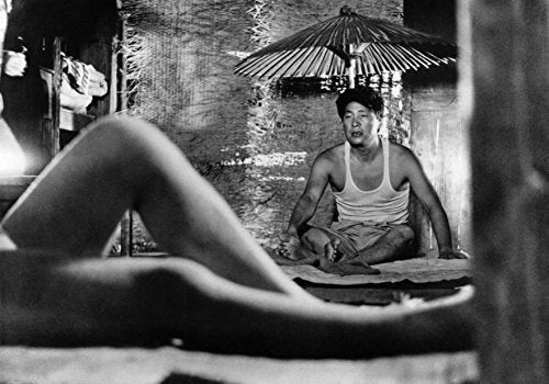 Mujer En Las Dunas (The Criterion Collection) [blu-ray]