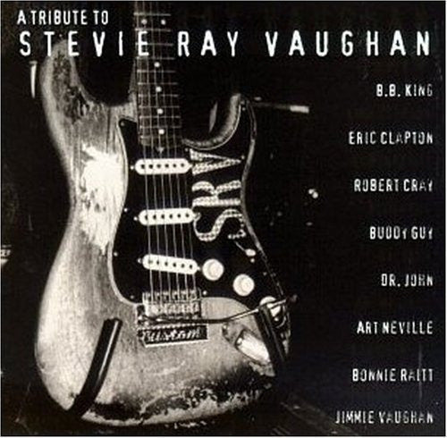 Homenaje A Stevie Ray Vaughan