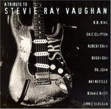Homenaje A Stevie Ray Vaughan