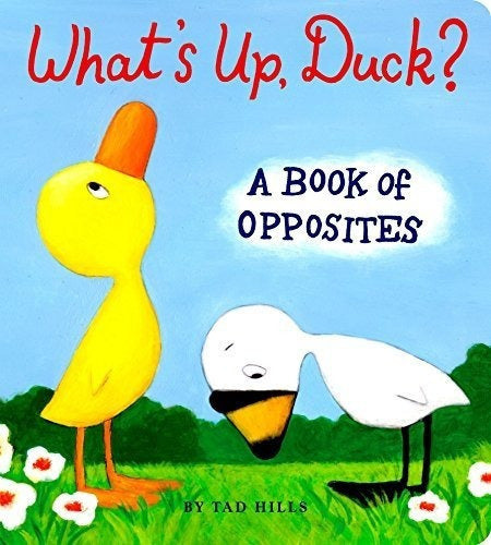 libro Qué Pasa Pato Un Libro De Opuestos