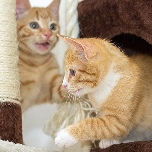 Árbol para gatos de 4 niveles
