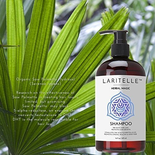 Laritelle Organic Champú Hipoalergénico Sin Perfume 17.5 Oz