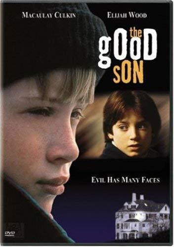 El buen hijo dvd